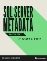 sql-server-metadata-succinctly.pdf